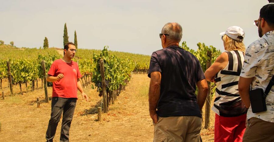 Porto: Douro Valley History & Wine Tour with Cruise & Lunch - Key points at a glance
