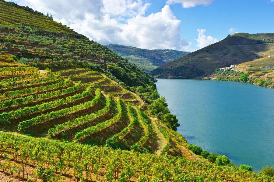 Porto: Douro Valley History & Wine Tour with Cruise & Lunch - Why the Douro Valley makes a good day trip from Porto