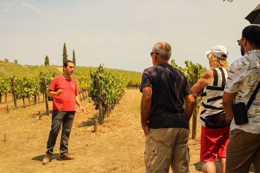 Porto: Douro Valley History & Wine Tour with Cruise & Lunch - Amarante: a brief taste of northern Portugal