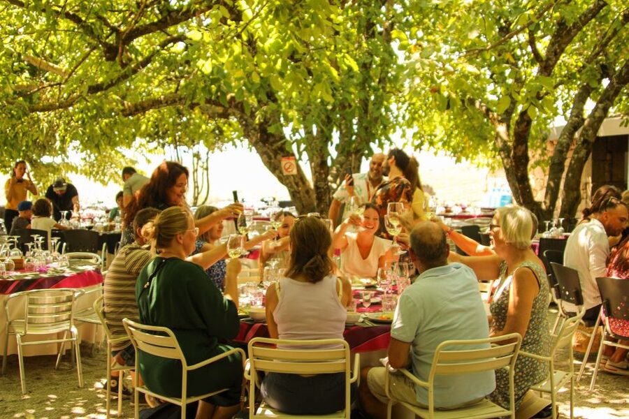 Porto: Douro Valley History & Wine Tour with Cruise & Lunch - Cruising the Douro from Pinhão