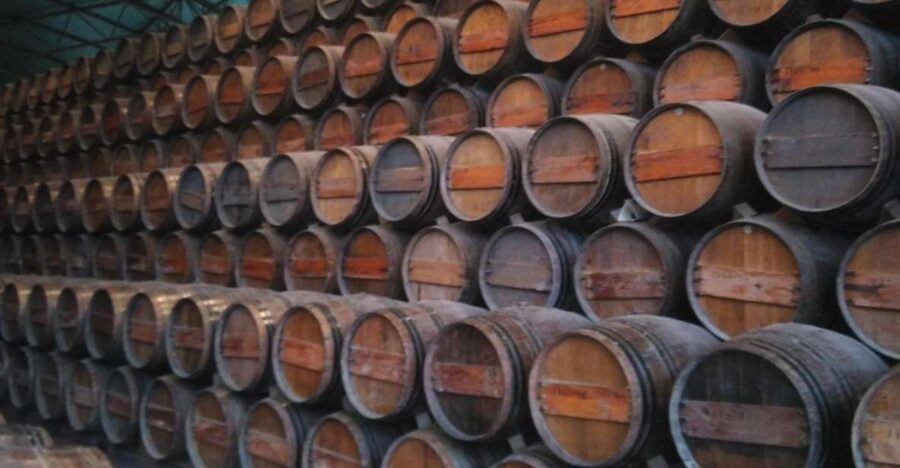 Portuguese Wine History & Amazing Landscape - Why this southern Lisbon route works so well