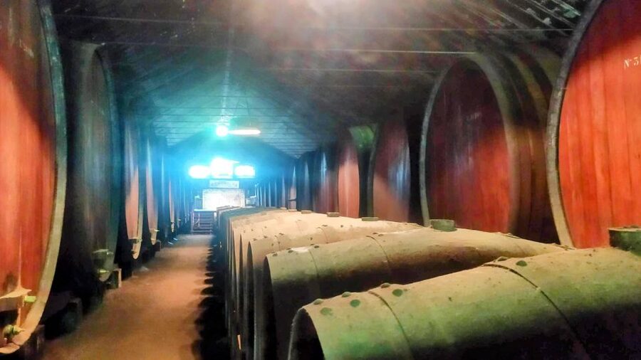 Portuguese Wine History & Amazing Landscape - Crossing the Vasco da Gama Bridge to Palmela