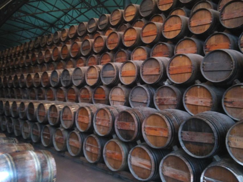 Portuguese Wine History & Amazing Landscape - Arrábida Natural Park and Portinho Beach