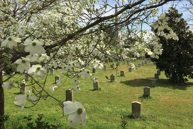 Private Atlanta History Tour From Civil War to Civil Rights - Oakland Cemetery: people behind the dates