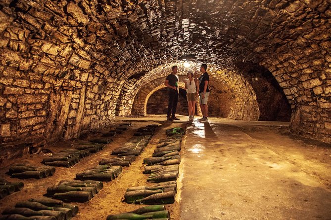 Private Bohemia Wine Tour from Prague with Gourmet Tastings - Why this Bohemia wine day works from Prague
