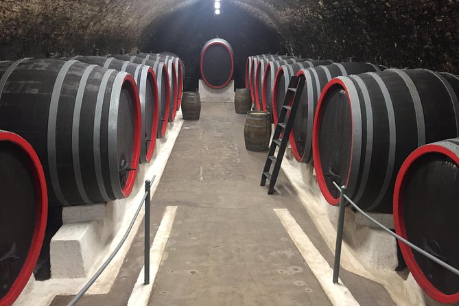 Private Bohemia Wine Tour from Prague with Gourmet Tastings - Velké Žernoseky and the old underground cellars