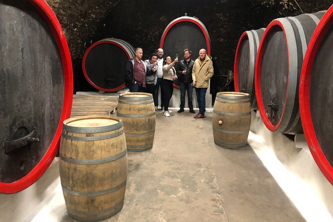 Private Bohemia Wine Tour from Prague with Gourmet Tastings - Who should book this experience