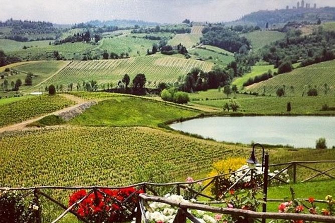 Private Chianti Classico Tour with wine and food tasting in a Historic Estate - Five things to know before you book