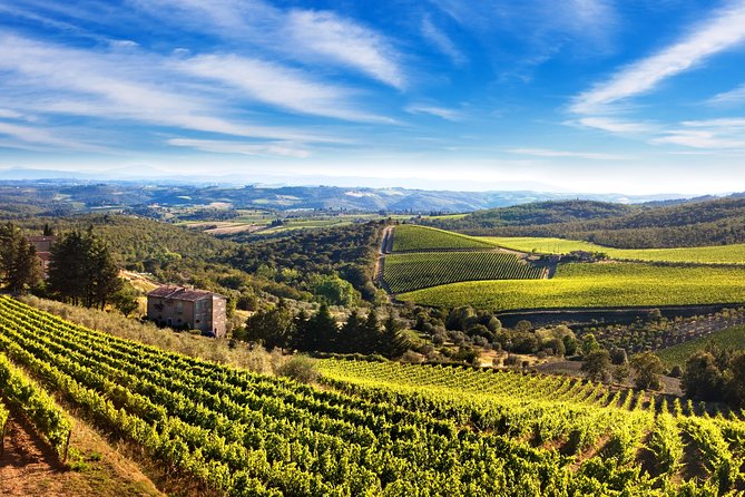 Private Chianti Classico Tour with wine and food tasting in a Historic Estate - Leaving Florence for the Chiantigiana Road