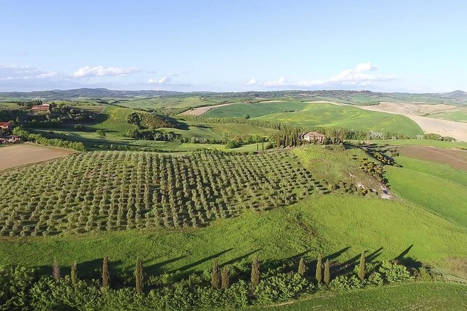 Private Chianti Classico Tour with wine and food tasting in a Historic Estate - The Wine Tasting and Local Food