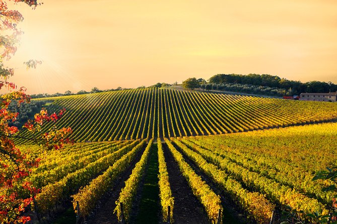 Private Chianti Classico Tour with wine and food tasting in a Historic Estate - What the Private Format Really Adds