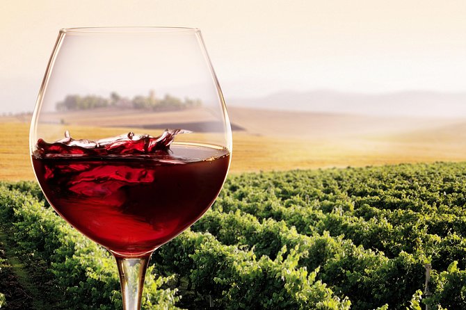 Private Chianti Classico Tour with wine and food tasting in a Historic Estate - My Booking Advice