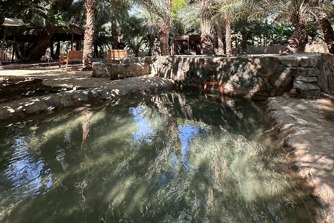 Private Full Day Hatta Visit Dam Heritage Village Lake - Hajjar Mountains photo stop