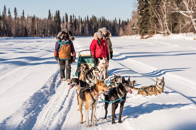 Private Guided Dog Sledding on the Historic Yukon Quest Trail - The halfway stop at a frozen pond