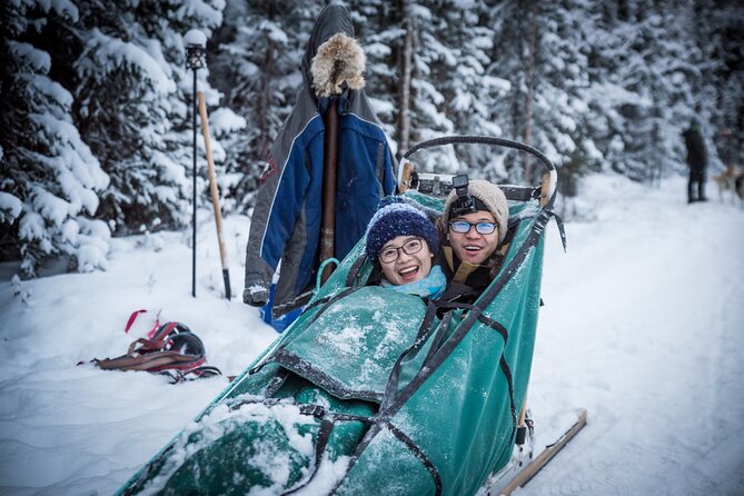 Private Guided Dog Sledding on the Historic Yukon Quest Trail - Returning to the yurt and warming up