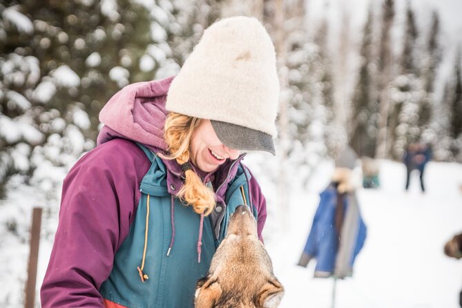 Private Guided Dog Sledding on the Historic Yukon Quest Trail - Why the private format matters at $200