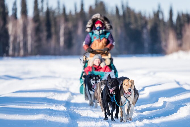 Private Guided Dog Sledding on the Historic Yukon Quest Trail - Who will enjoy this experience most