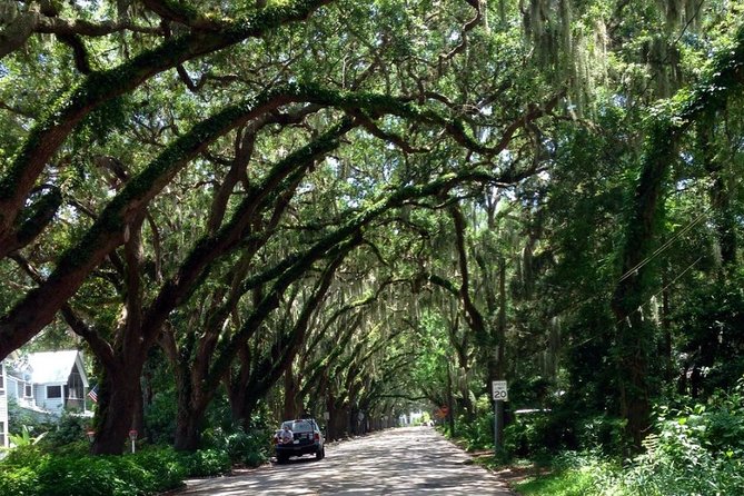 Private Guided Historic Electric Cart Tour of St. Augustine - Historic Churches, Buildings, and Photo Opportunities