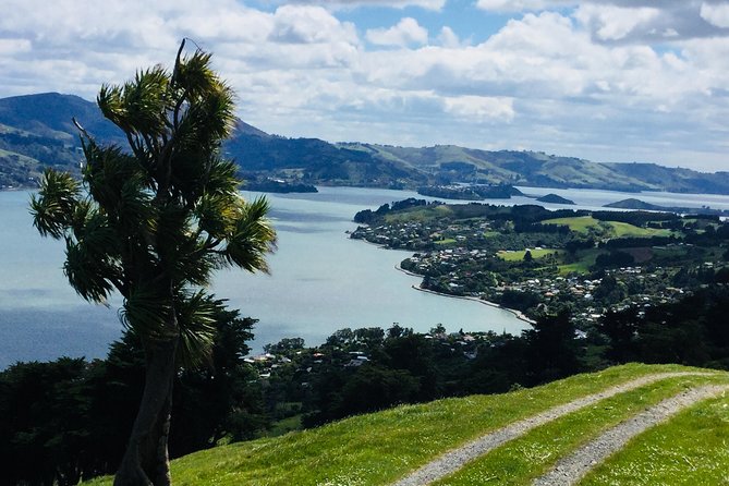 Private Guided Tour of Dunedin City Heritage and Unique Wildlife and Scenery - Olveston Historic Home and the extra hour