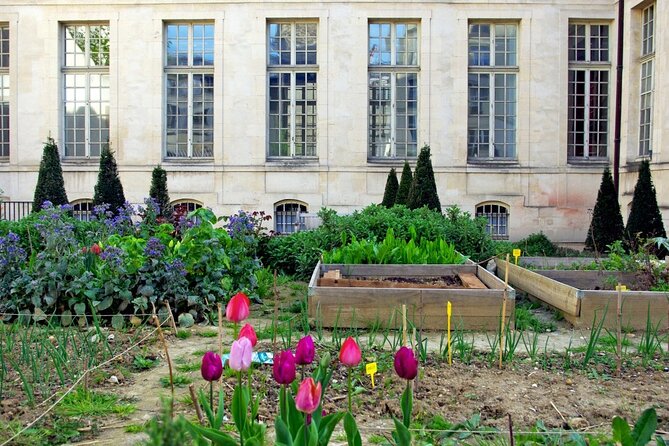Private Half Day Historic Tour - Rue des Rosiers and the Pletzl