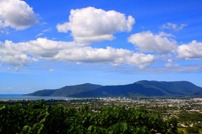 Private Half Day Tour: World Heritage Rainforest & Waterfall - A compact introduction to the Wet Tropics