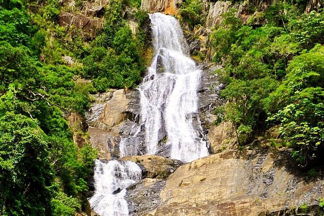 Private Half Day Tour: World Heritage Rainforest & Waterfall - A refreshing pause at Davies Creek