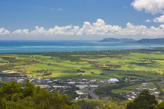 Private Half Day Tour: World Heritage Rainforest & Waterfall - Guides can shape the day