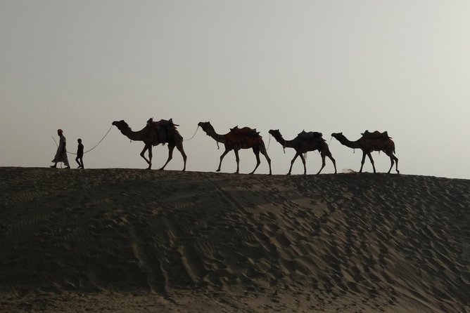 Private Heritage Walking Tour in Jaisalmer Fort and Old Bazaar - A tea break with a view