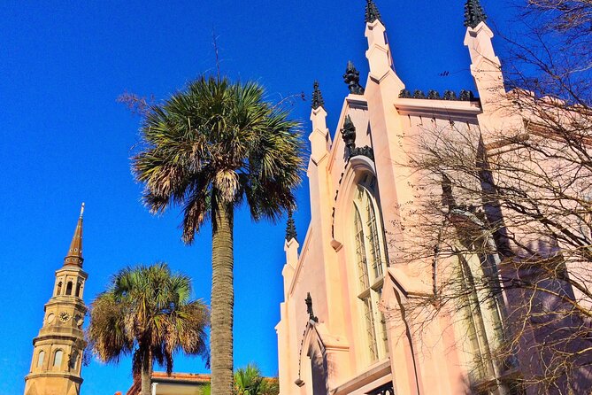 Private Historic Horse & Carriage Tour of Charleston - The private carriage question