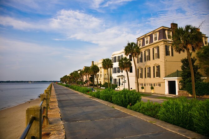 Private Historic Horse & Carriage Tour of Charleston - Comfort, horse care, and the carriage itself