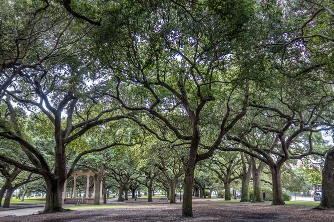 Private Historic Horse & Carriage Tour of Charleston - Is $300 a fair price?