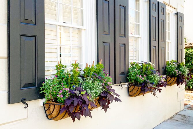 Private Historic Horse & Carriage Tour of Charleston - The best time to schedule it