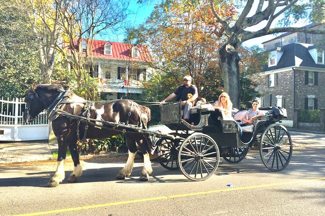 Private Historic Horse & Carriage Tour of Charleston - Meeting near the City Market