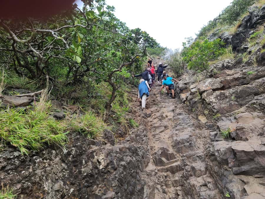 PRIVATE LeMorne Mountain Picturesque Hike-UNESCO Recognised - The summit views across Mauritius