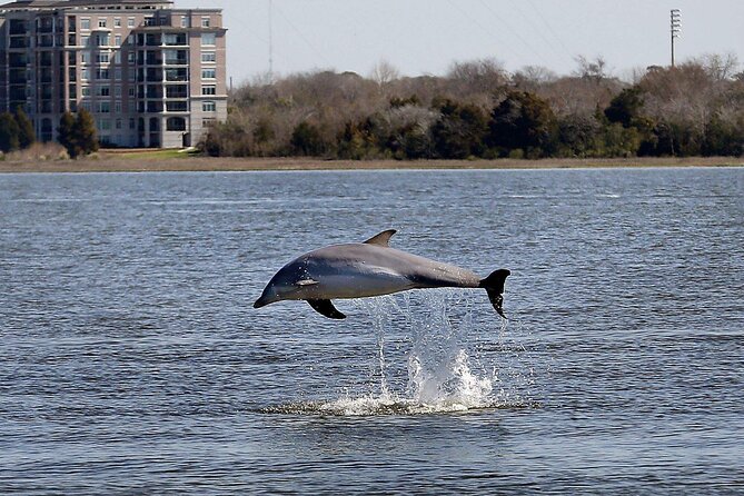Private Morning Sail, Dolphin and History Tour on Mystique - Yorktown adds a powerful piece of naval history