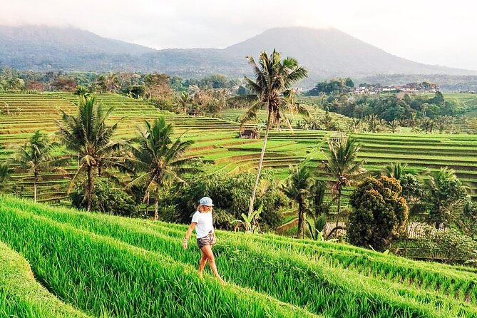 Private Tour: Bali UNESCO World Heritage Sites - Ulun Danu Bratan, Bali’s water temple
