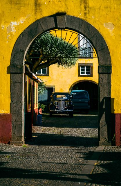 Private Tour:Historical Old Town 1-Hour Tour by Tuk Tuk - Key points at a glance