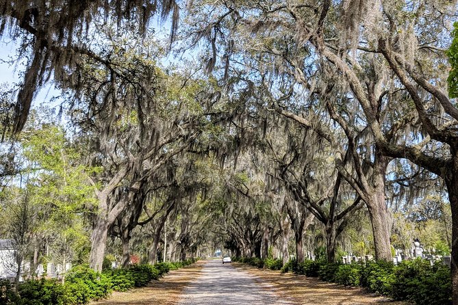 Private Tour of Savannah's Historic/Victorian Districts & Bonaventure Cemetery - Savannah’s squares, live oaks, and old homes
