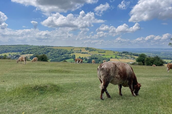 Private tour of the stunning Cotswolds with an expert local guide - Broadway Tower: a hilltop view without the climb