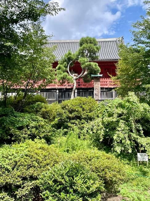 Private Tour Through the Tokyo National Museum & Ukiyo-e - Ueno Toshogu Shrine and Tokugawa connections