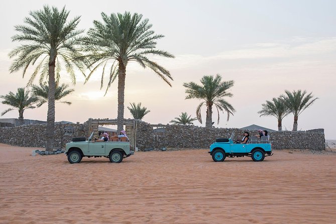 Private Vintage Land Rover Heritage Desert Safari- 4 Course Dinner & Activities - Sunset falconry with room for the sky