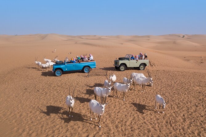 Private Vintage Land Rover Heritage Desert Safari- 4 Course Dinner & Activities - Who will enjoy this more than dune bashing?