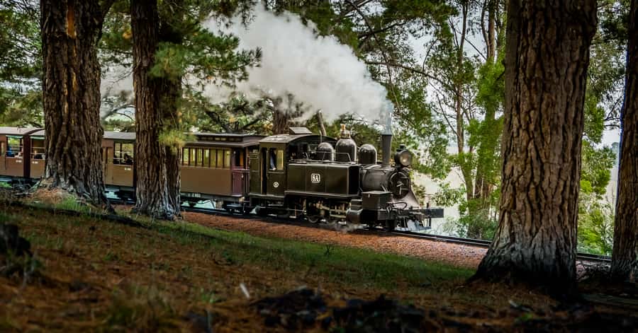 Puffing Billy Railway: Heritage Steam Train Journey - Key things to know before riding Puffing Billy