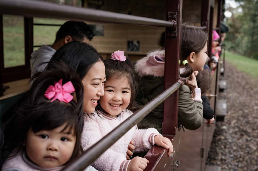 Puffing Billy Railway: Heritage Steam Train Journey - What the $29 price really gives you