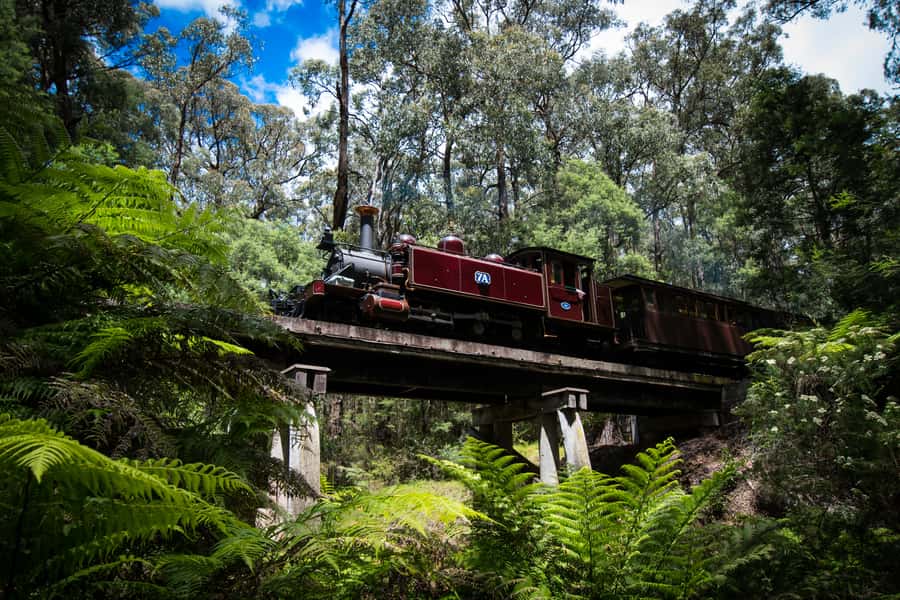 Puffing Billy Railway: Heritage Steam Train Journey - Who will enjoy this journey most