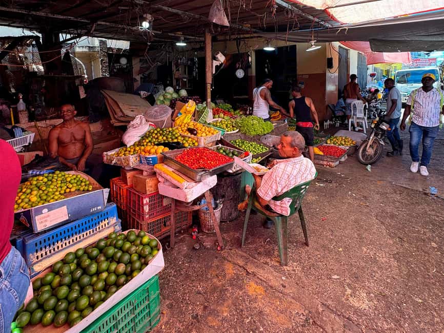 Punta Cana Cultural Tour History and Traditions Small Group - Transport, timing, and the small-group tradeoff