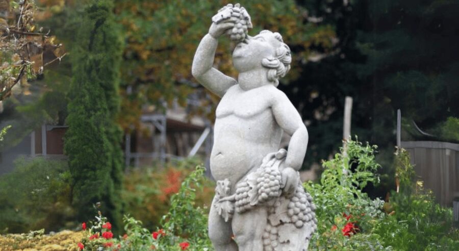 Quedlinburg UNESCO World Heritage Group Tour (private) - A private tour at $117