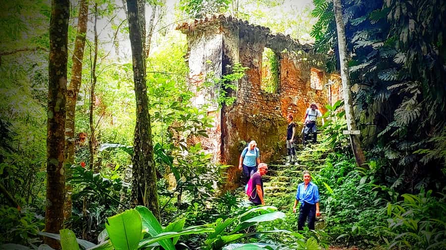 Rio: Tijuca Forest Small Group Hike to Caves and Waterfalls - Key Points Before You Book