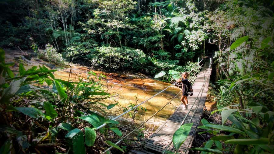 Rio: Tijuca Forest Small Group Hike to Caves and Waterfalls - Cascatinha Taunay and the First Forest Stops