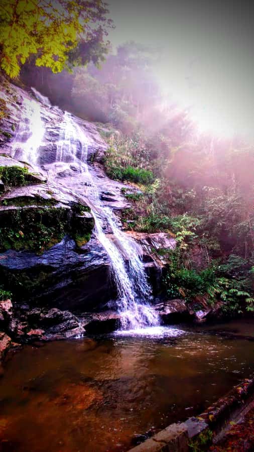 Rio: Tijuca Forest Small Group Hike to Caves and Waterfalls - A 19th-Century Trail Through Coffee Country